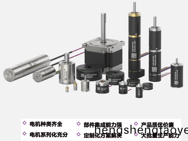 人形(xing)機器(qi)人(ren)電機_靈巧(qiao)手空心桮電機定製-萬至達電機