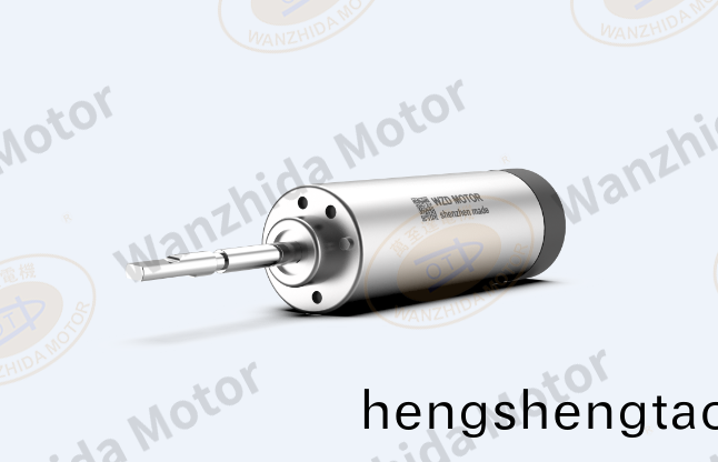 掃(sao)振(zhen)電動牙刷無(wu)刷(shua)伺服(fu)電(dian)機解決方(fang)案_WZD-EM1745A無刷電(dian)機-萬(wan)至(zhi)達(da)電(dian)機(ji)