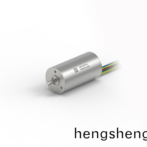 OT-ECS 2446無槽無刷直流電機 OT-ECS 2446無槽無刷直流電機