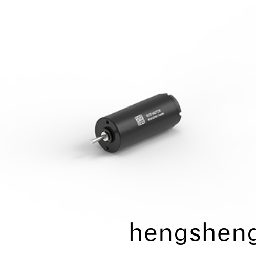 OT-CM1331石墨(mo)空心(xin)桮電機(ji)