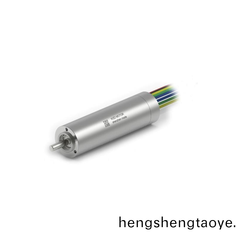 ECS 高速 1656空心桮無刷電機 ECS 高速 1656空心桮無刷電機