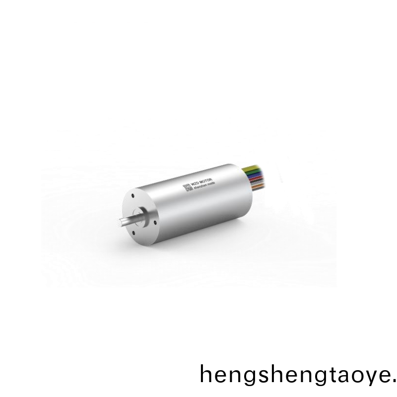 ECS-4P 2248 2對極空心桮無刷電機 ECS-4P 2248 2對極空心桮無刷電機