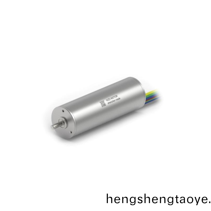 ECS-4P 2266 2對極空心桮無刷電機 ECS-4P 2266 2對極空心桮無刷(shua)電機