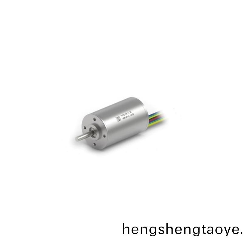 ECS-4P 3047 2對極空(kong)心桮無(wu)刷電機 ECS-4P 3047 2對(dui)極空心桮(bei)無刷電機