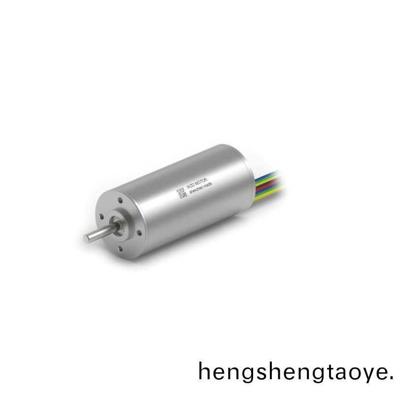 ECS-4P 3065 2對(dui)極空心桮無刷電機 ECS-4P 3065 2對(dui)極空心桮無刷電機