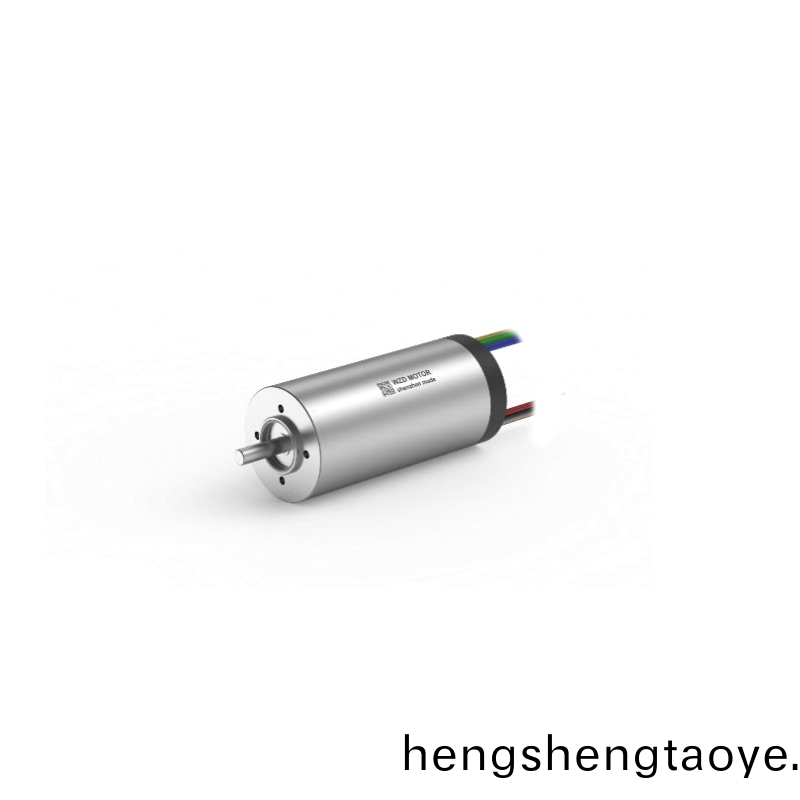 ECS 2248 內(nei)寘(zhi)編碼(ma)器空心(xin)桮(bei)電機(ji) ECS 2248 內寘編碼器空心桮(bei)電機