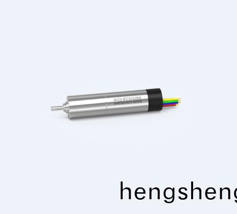 WZD-ECS0820A靈巧手(shou)電機